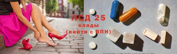 прущие грибы Алексин