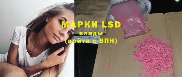 стаф Новозыбков