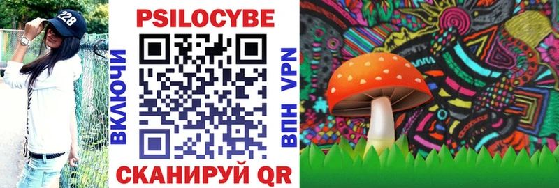 Псилоцибиновые грибы мицелий  Нестеровская 